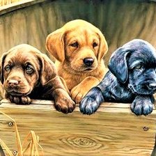 Схема вышивки «three pets 4»