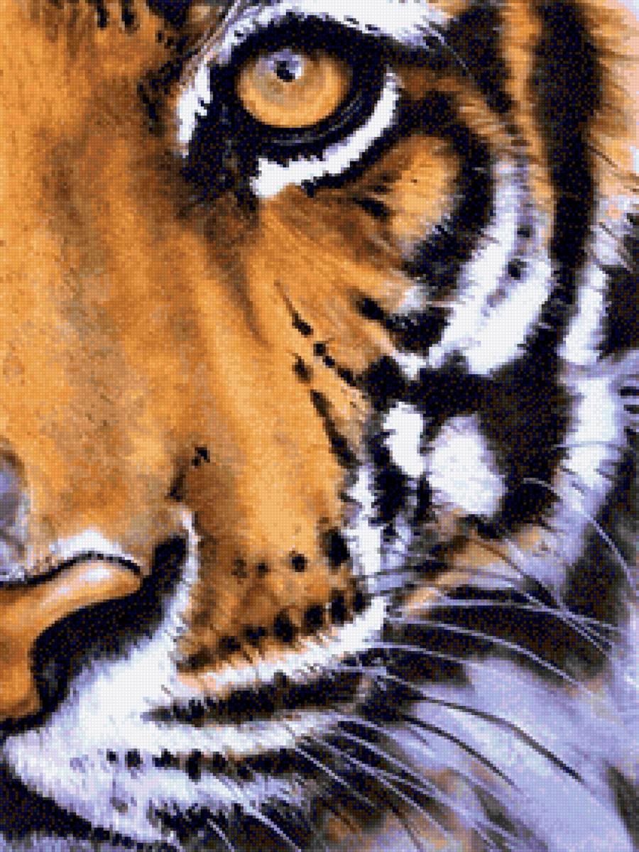 Glaz tigra - животные - предпросмотр