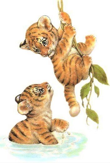 tigryata - животные - оригинал