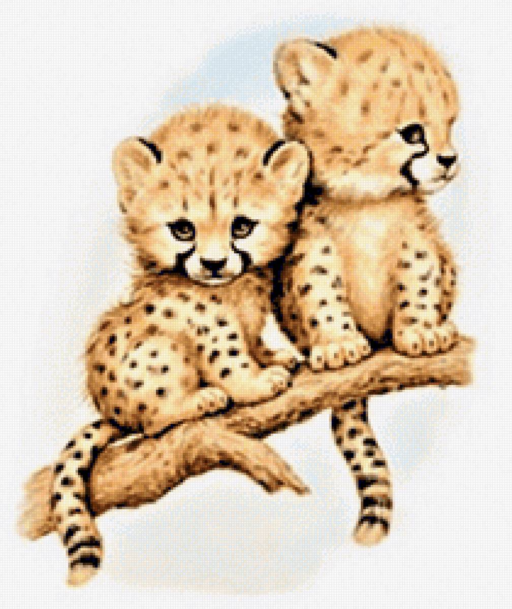 Leopardiki - животные - предпросмотр