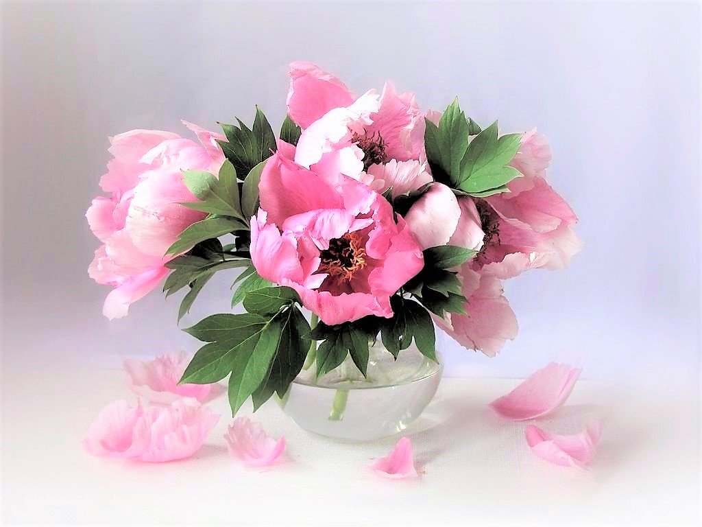 №2187473 - оригинал