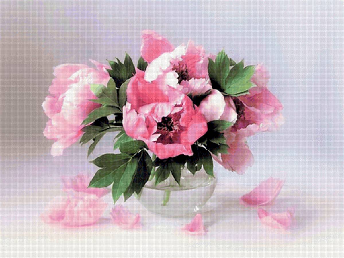 №2187473 - предпросмотр