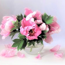 Схема вышивки «№2187473»