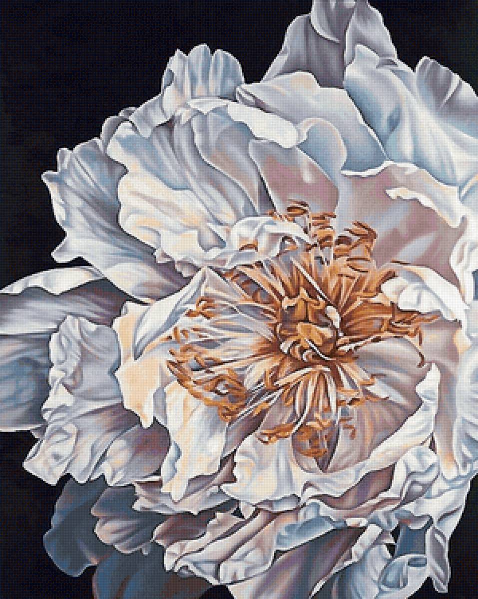 пион - предпросмотр