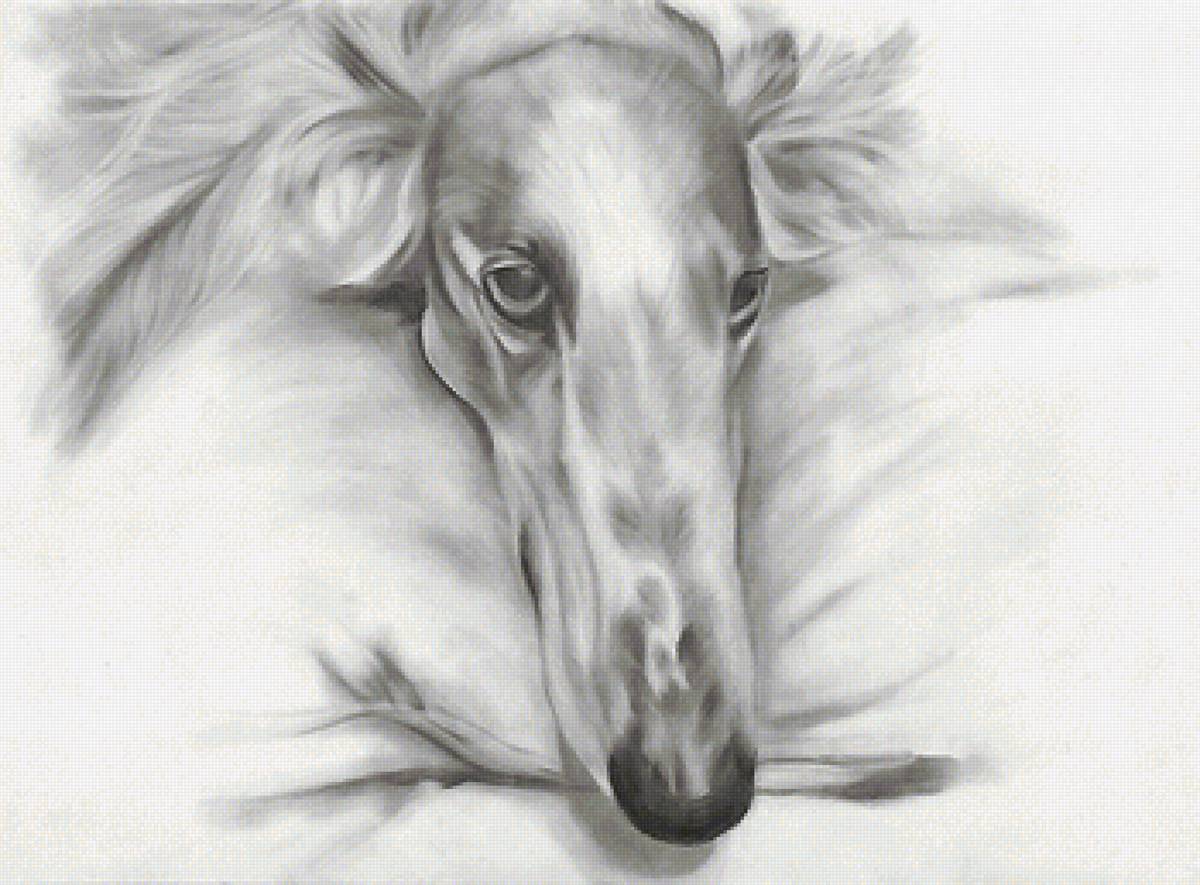 рисунок - предпросмотр