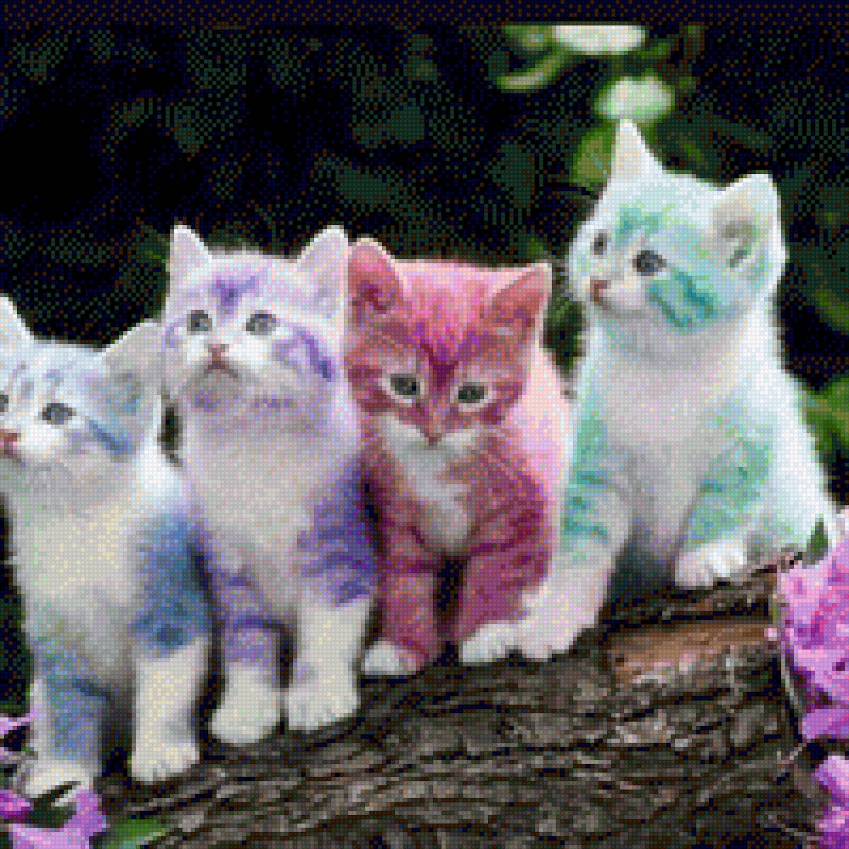 gatos coloridos - animais - предпросмотр