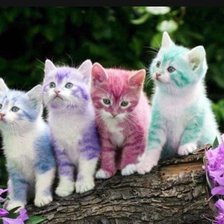 Схема вышивки «gatos coloridos»