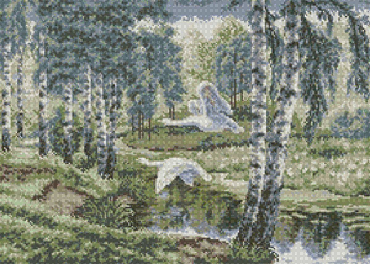 Неразлучная пара - лебеди, березовая роща - предпросмотр