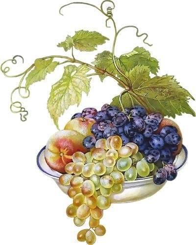 Натюрморт - виноград яблоки - оригинал