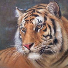 Схема вышивки «дикие»