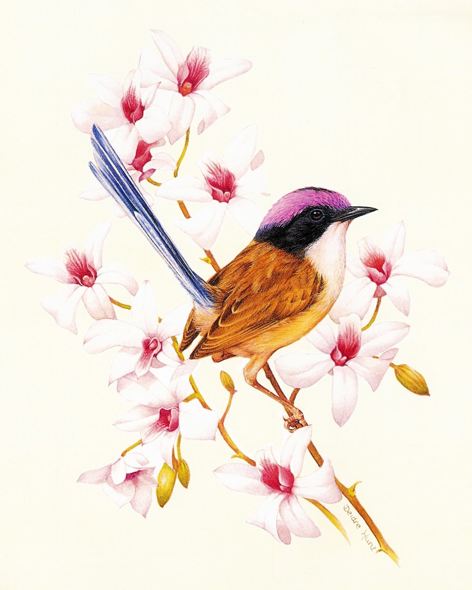 Птичка на цветах - птичка, цветок - оригинал