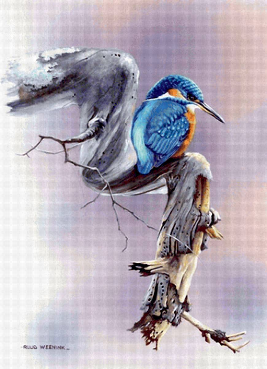 Зимородок - птичка - предпросмотр