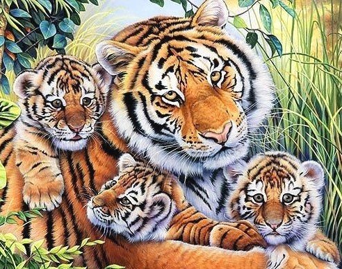 семья тигров - оригинал