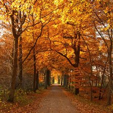 Схема вышивки «Осенний парк»