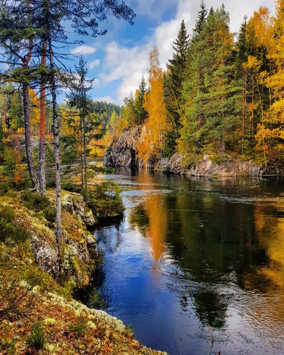 Пейзаж - пейзаж, лес, река - оригинал