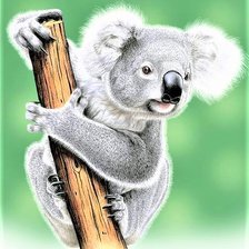 Схема вышивки «Baby koala»