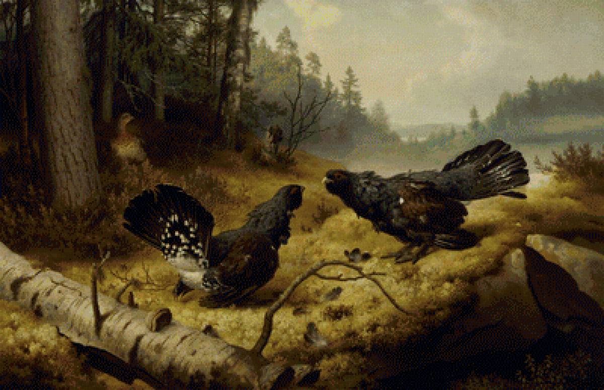 Дерущиеся глухари. - #глухарь, #фердинандфонрайт - предпросмотр