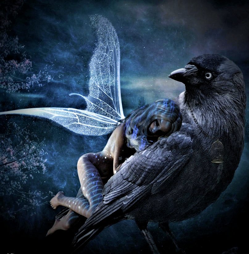 Фея и Ворон - опека свыше, фея, ворон - оригинал