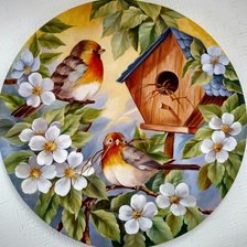 PAJAROS Y NIDO