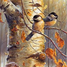 Схема вышивки «птицы»