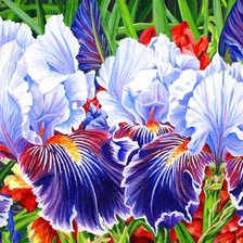 Схема вышивки «Ирисы»