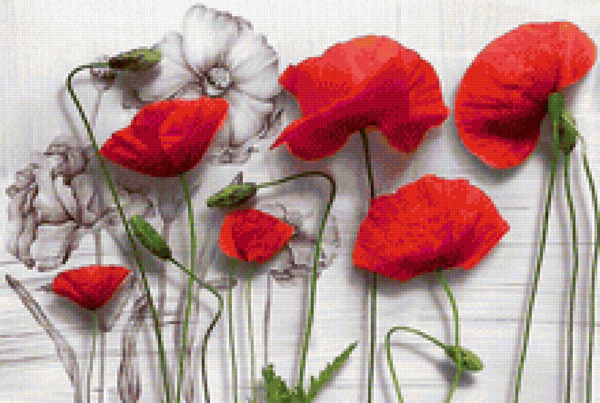 маки - предпросмотр