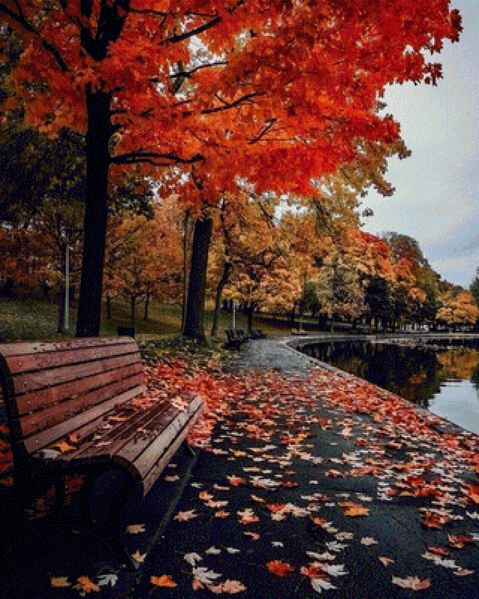 Краски осени - природа, осень - предпросмотр