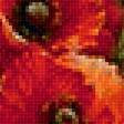 Предпросмотр схемы вышивки «Маки и ромашки» (№2190253)