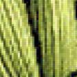 Предпросмотр схемы вышивки «Brazilian birds- Ara» (№2190337)