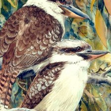 Оригинал схемы вышивки «Australian birdes-Night Kukabaras» (№2190344)