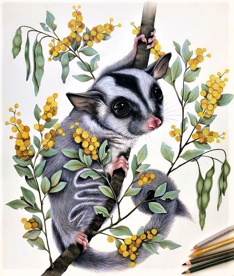 Flying possume - животные - оригинал