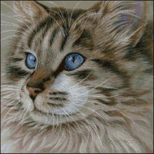 Схема вышивки «№2190944»