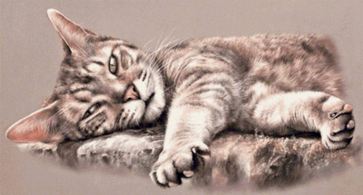 Cat's portret 3 - животные - предпросмотр