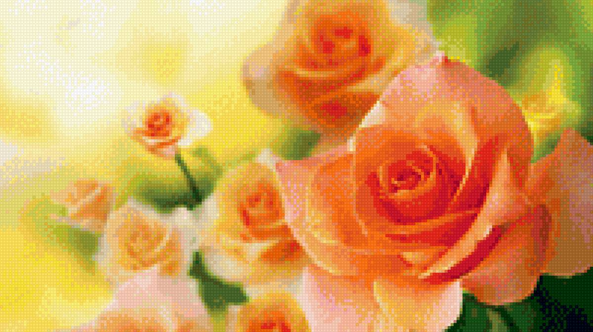 Аромат роз - цветы, розы - предпросмотр