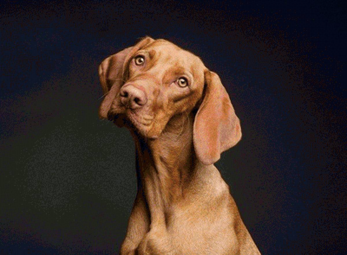 №2191077 - предпросмотр