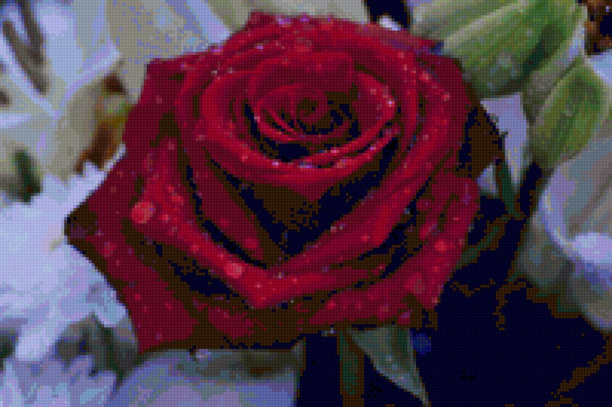 rosa - flores - предпросмотр