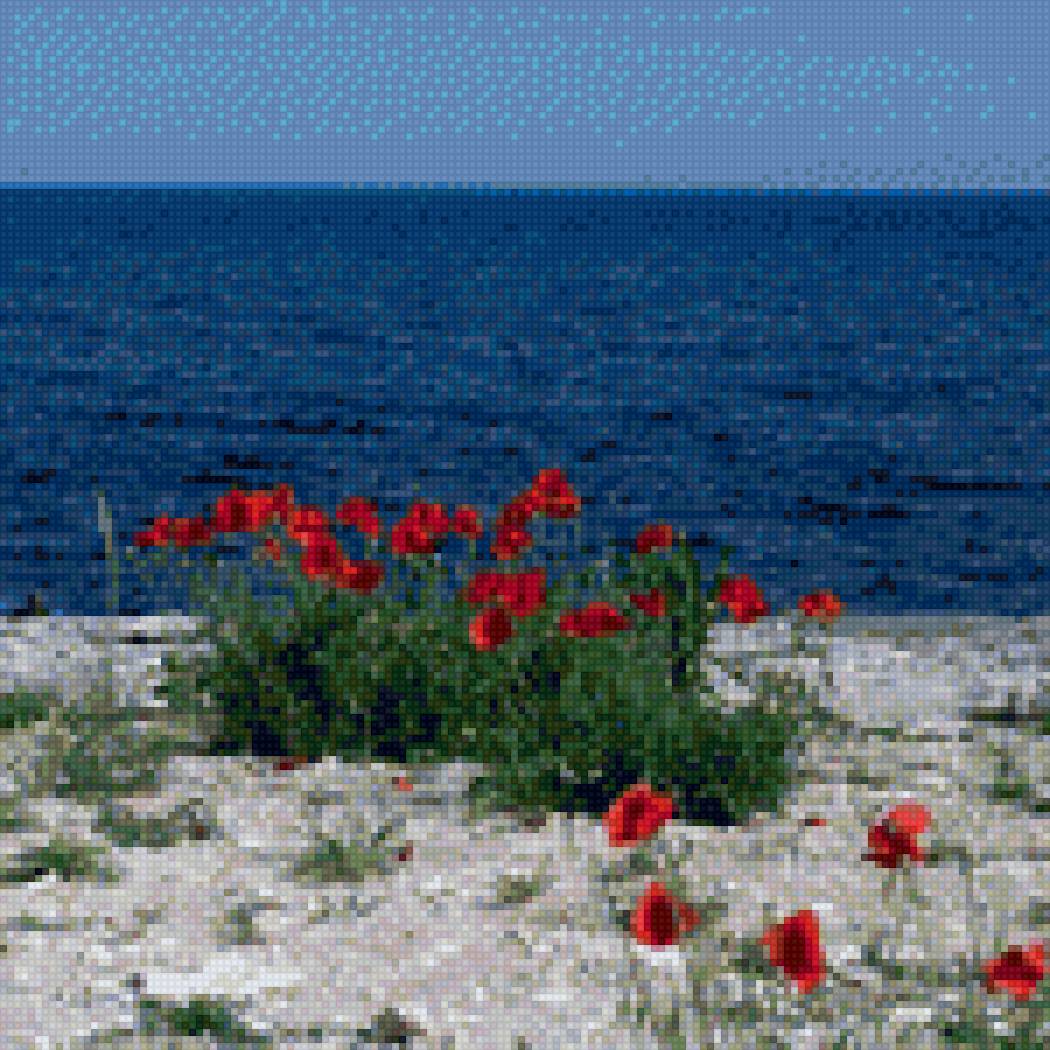 Маки на берегу - предпросмотр