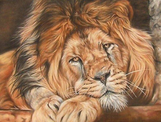 лев - хищник, лев - оригинал