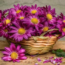 Схема вышивки «Cesta ,com flores.»