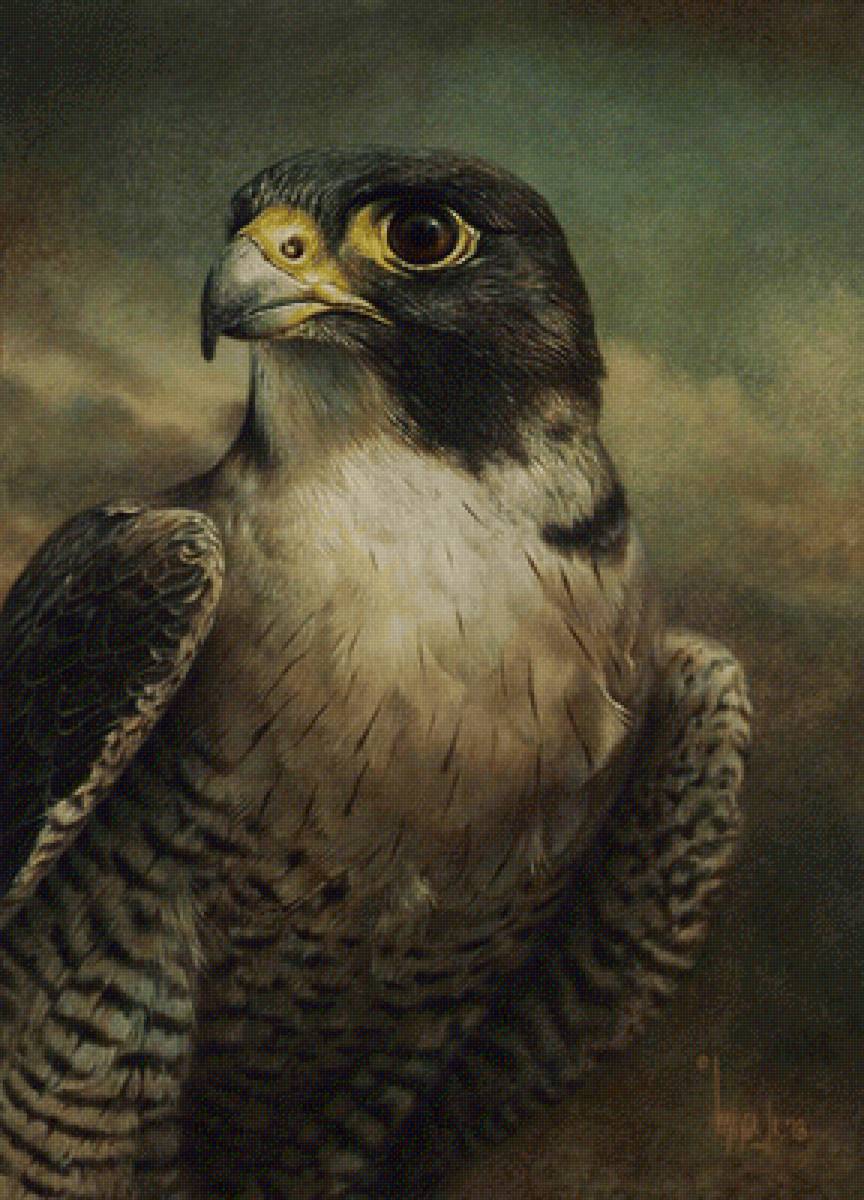 Сапсан сокол - картина - предпросмотр