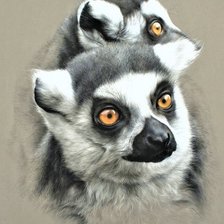 Оригинал схемы вышивки «Wild life portrets- Lemures» (№2191561)