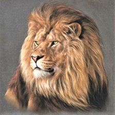 Оригинал схемы вышивки «Wild life portrets- Lion» (№2191563)