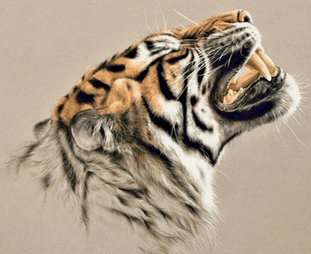 Если ты видишь зубы тигра-это не значит что он улыбается(афр.п.) - животные - предпросмотр