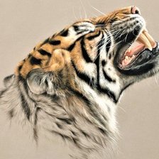 Схема вышивки «Если ты видишь зубы тигра-это не значит что он улыбается(афр.п.)»