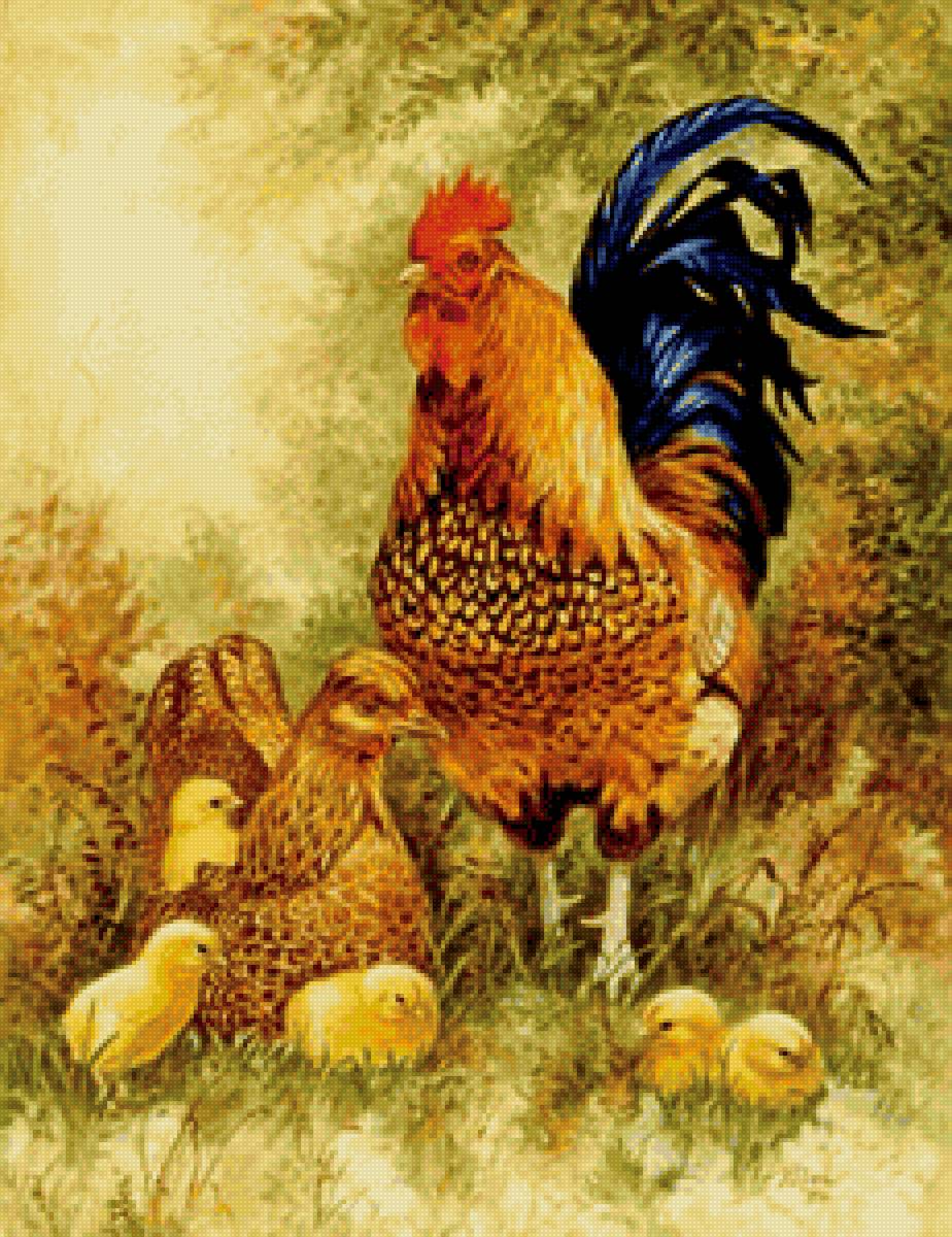 Птичий двор 3 - цыплята., птичий двор, петух, курица - предпросмотр