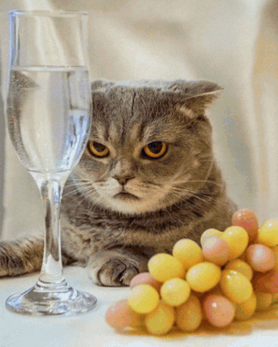 Gato. - animais. - предпросмотр