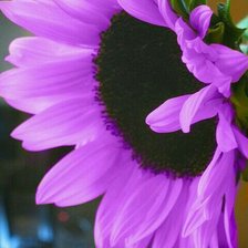 Схема вышивки «№2192175»