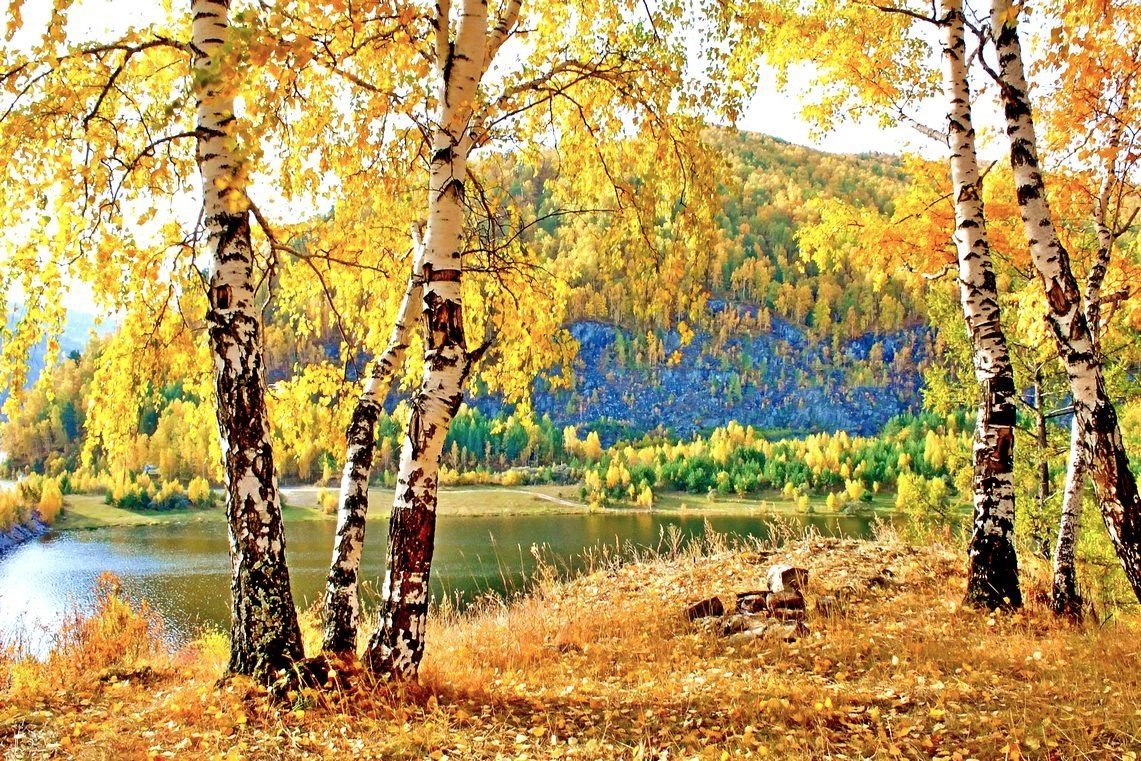 Пейзаж - пейзаж, горы, река, лес, осень. - оригинал