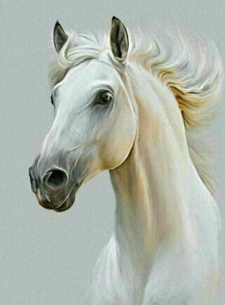 Конь - животные конь - оригинал