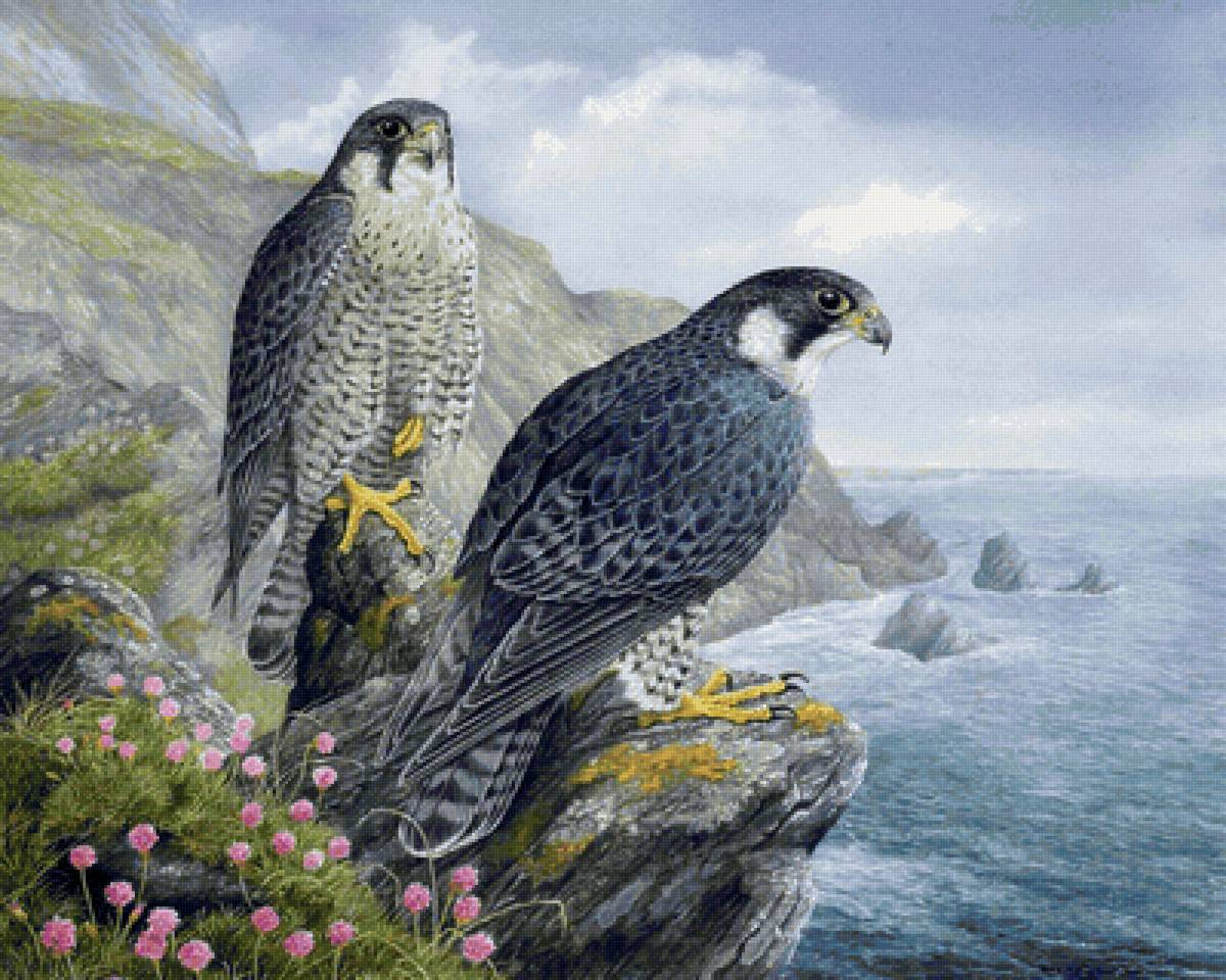 Сапсаны - предпросмотр